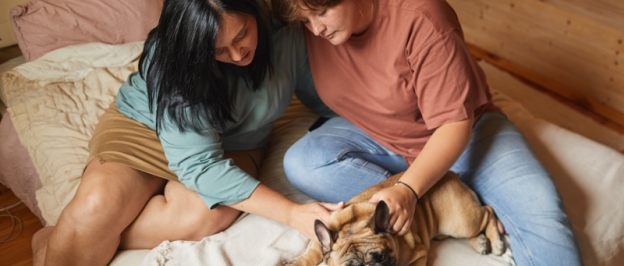 Benefits of Taking Care of Your Pets