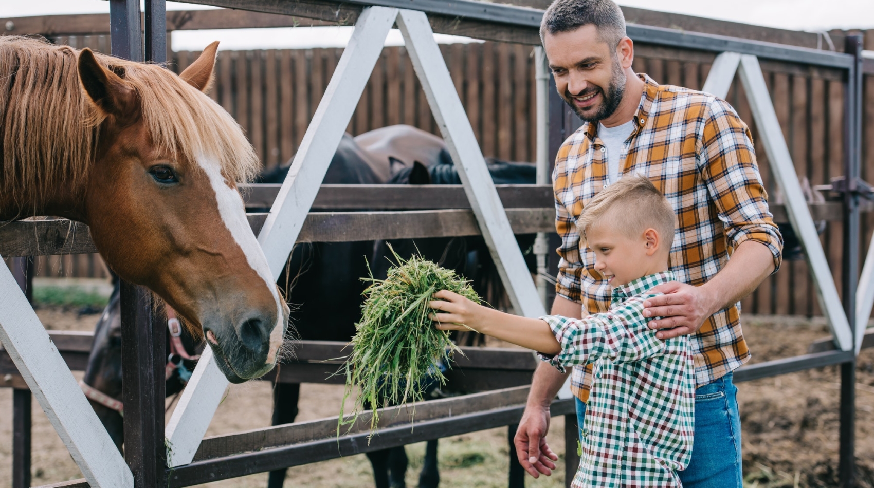 happy father looking at little son feeding horse at farm