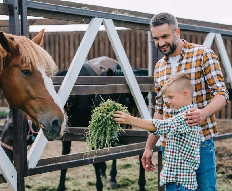 happy father looking at little son feeding horse at farm