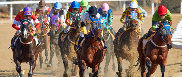 How to Train Horses for Horse Racing